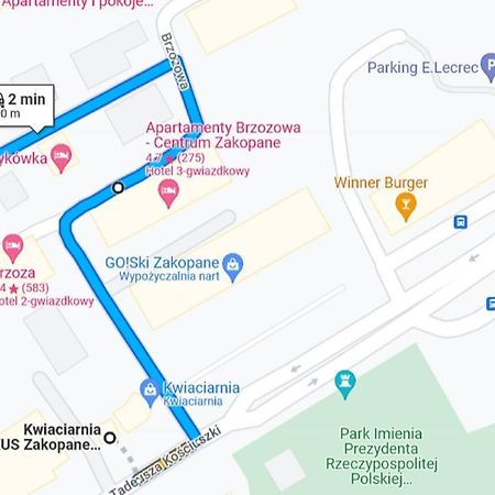 Willa Konradowka - Apartamenty Debowy, Klonowy, Kosowka I Limba 扎科帕内 外观 照片